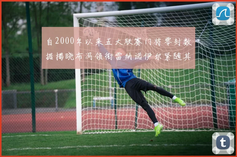 自2000年以来五大联赛门将零封数据揭晓布冯领衔雷纳诺伊尔紧随其后