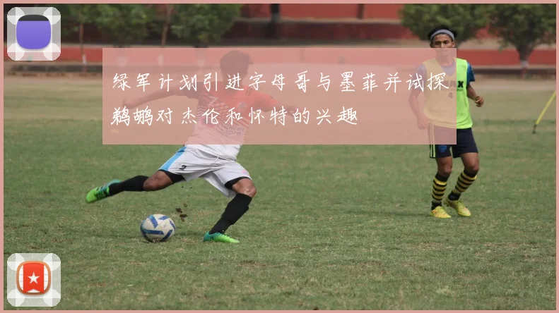 绿军计划引进字母哥与墨菲并试探鹈鹕对杰伦和怀特的兴趣